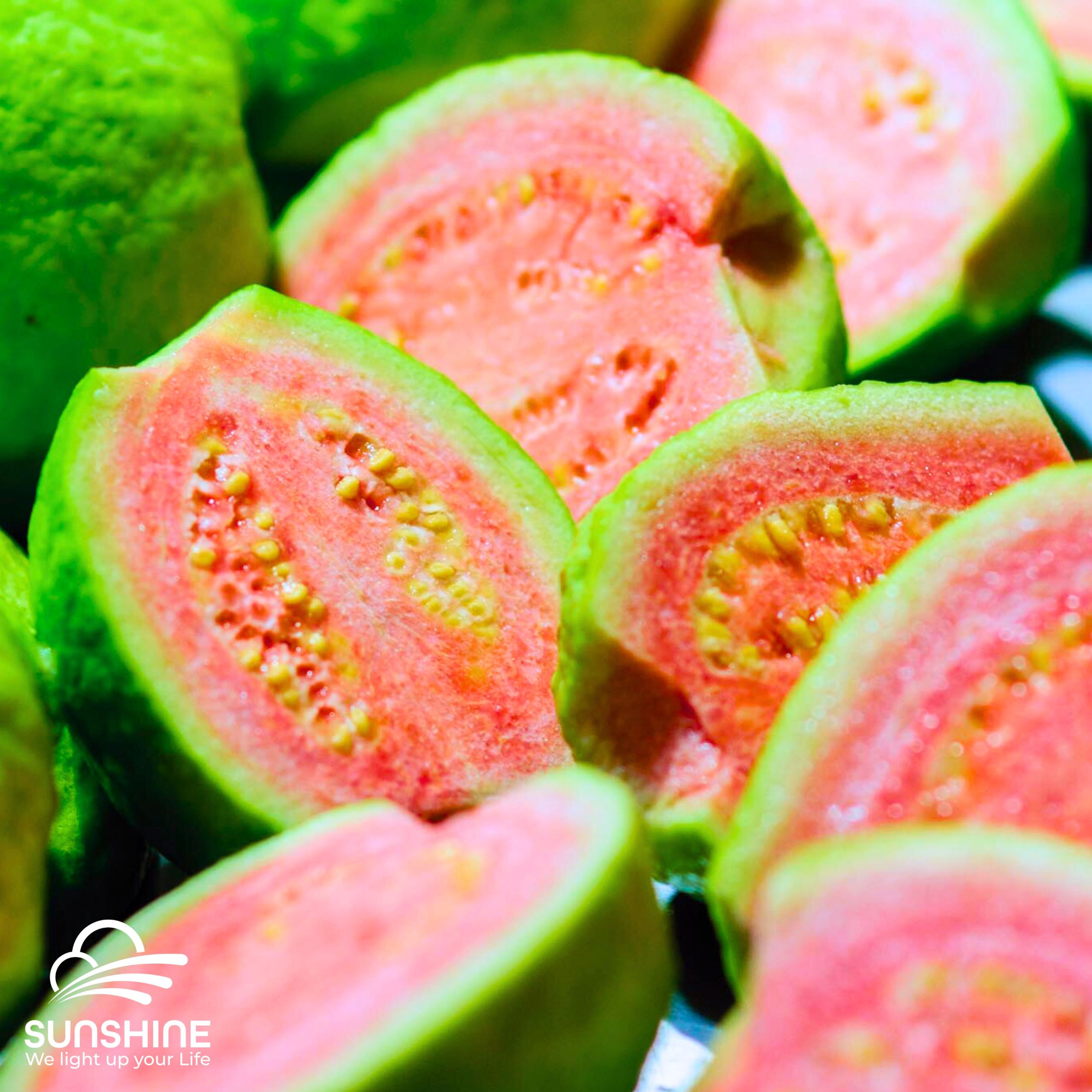 Guava-red-flesh-1