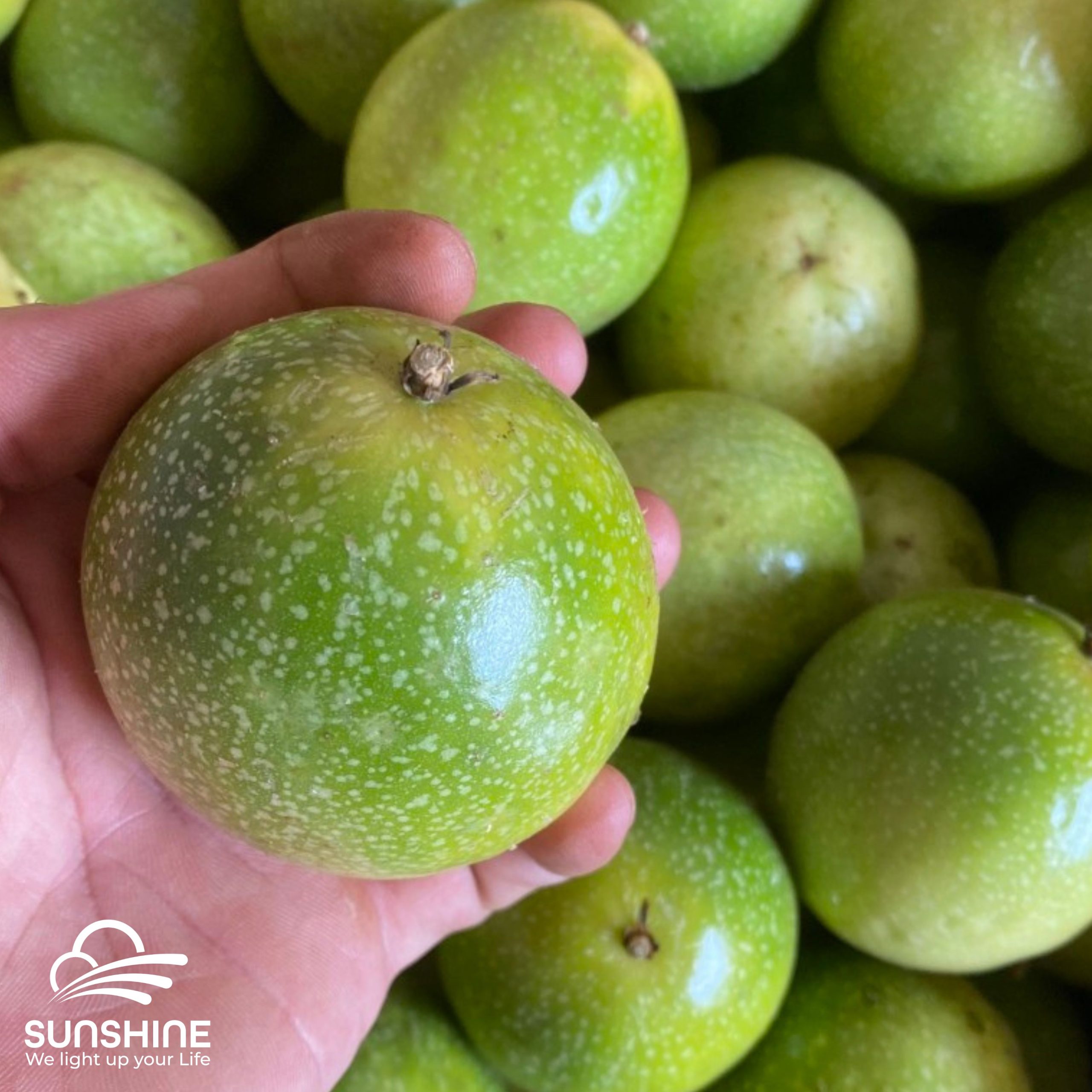 golden-passion-fruit