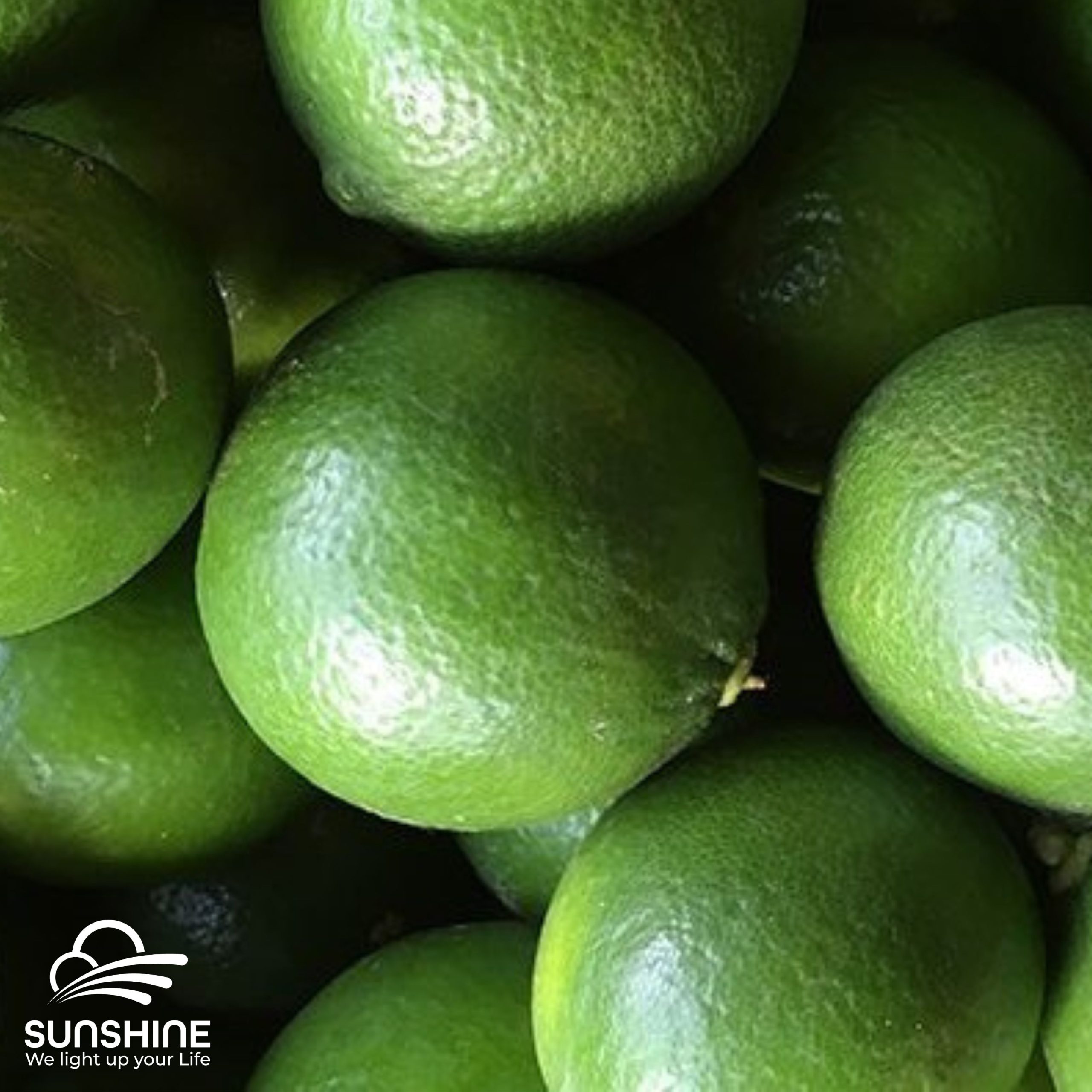 seedless-lime-1