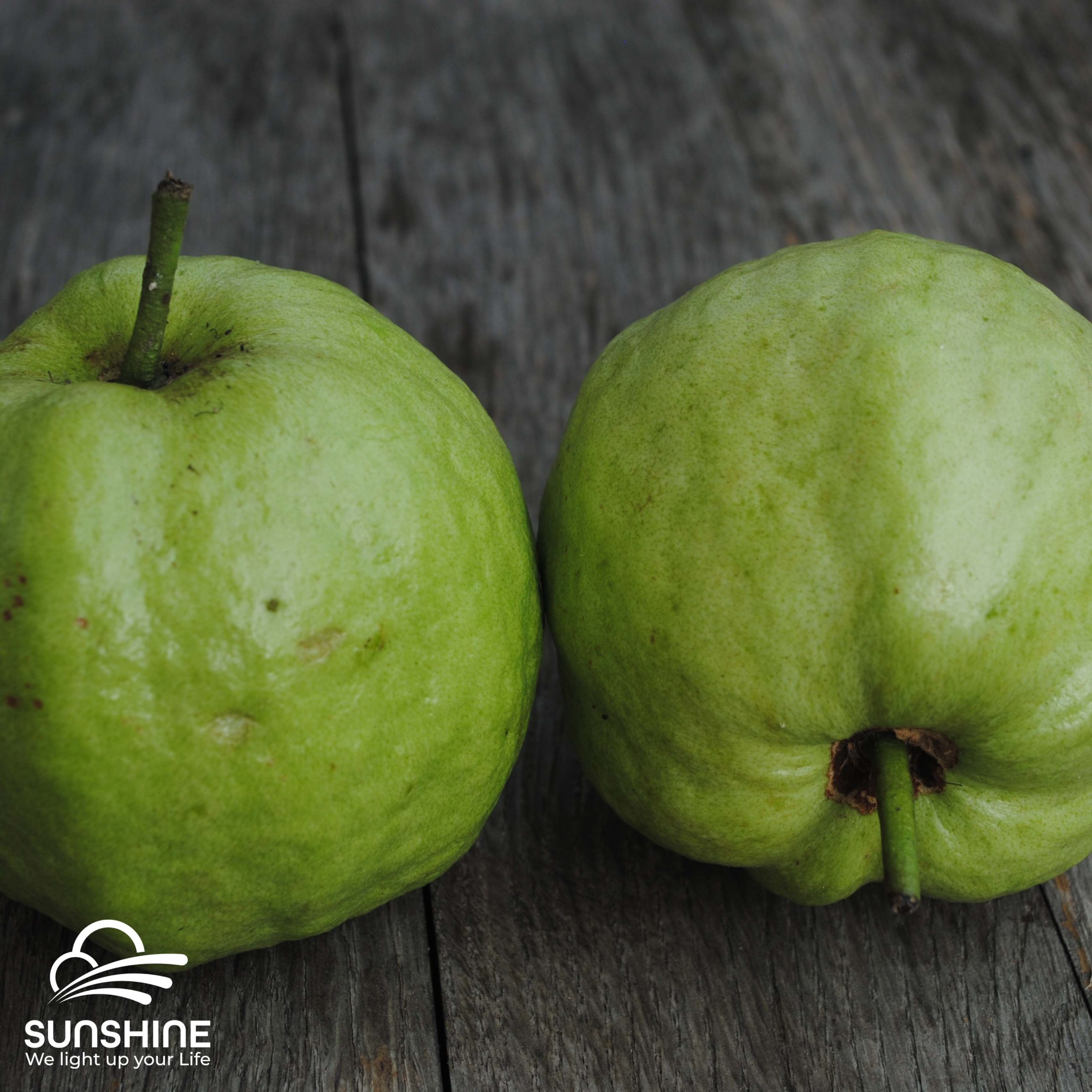 white-flesh-guava-2