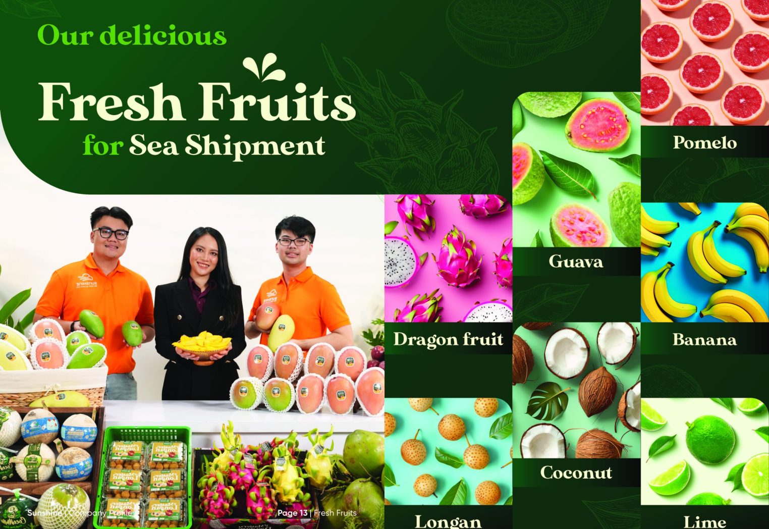 Sunshine_Brochure_FA_Page_08
