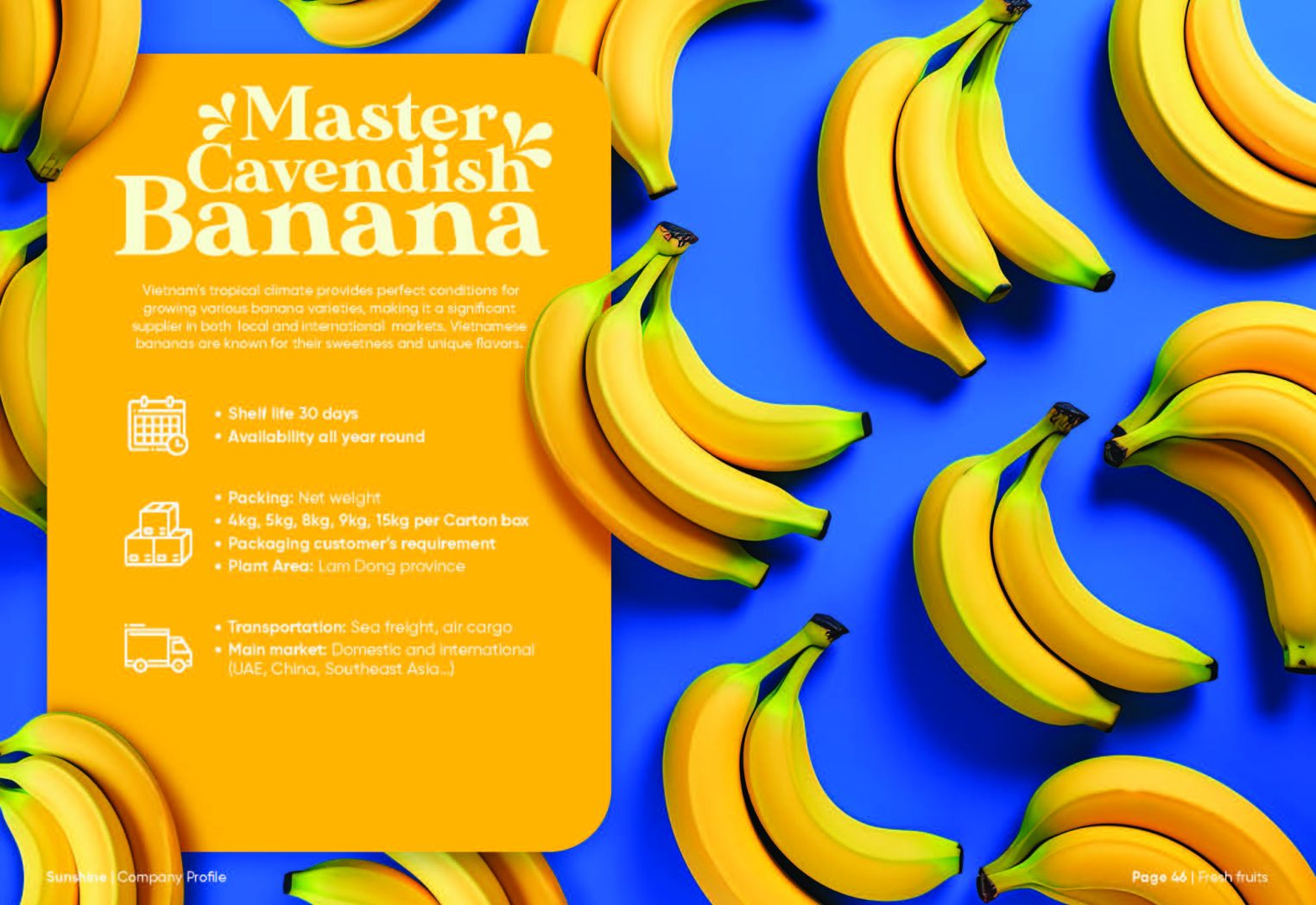 Sunshine_Brochure_FA_Page_24