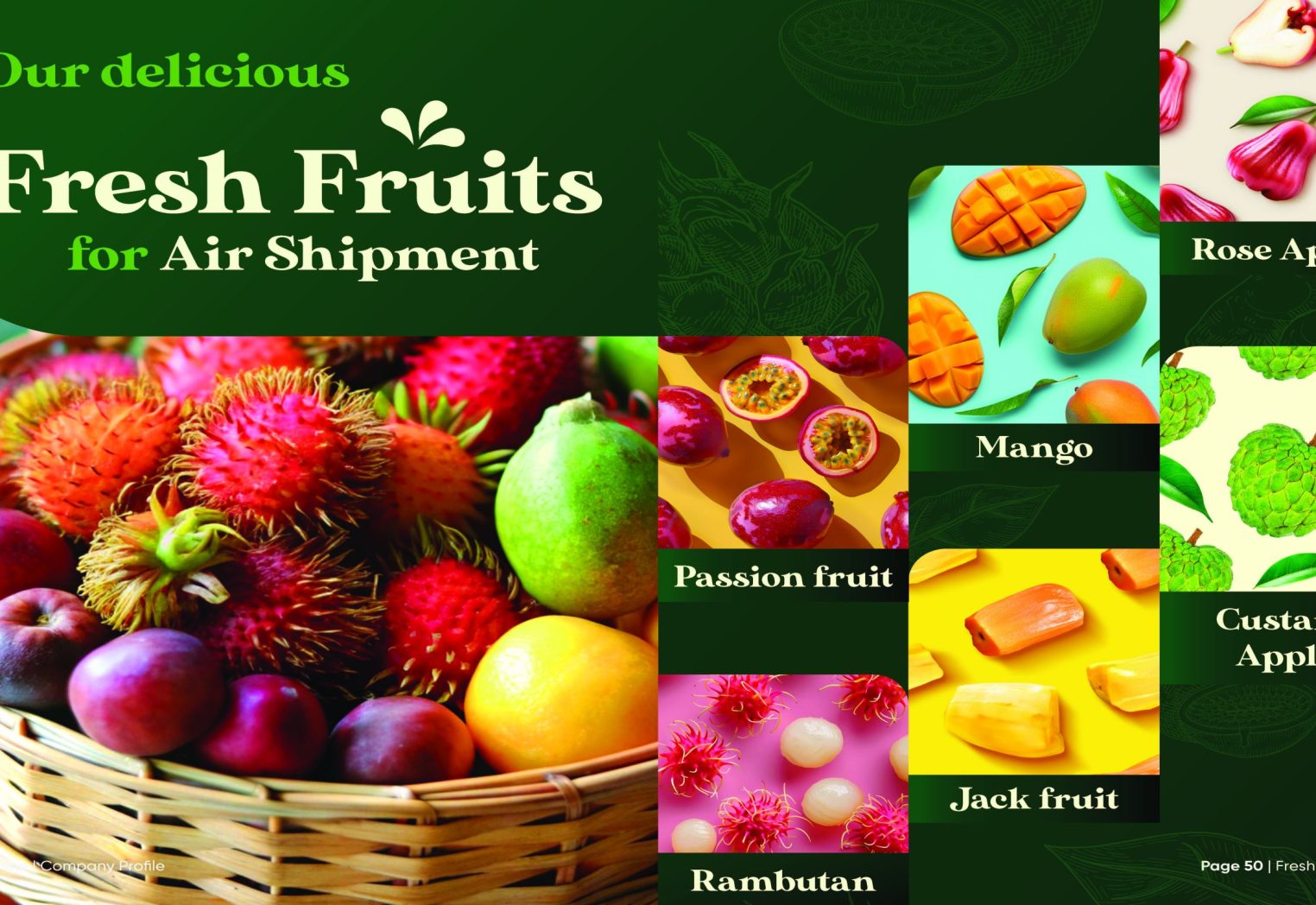 Sunshine_Brochure_FA_Page_26