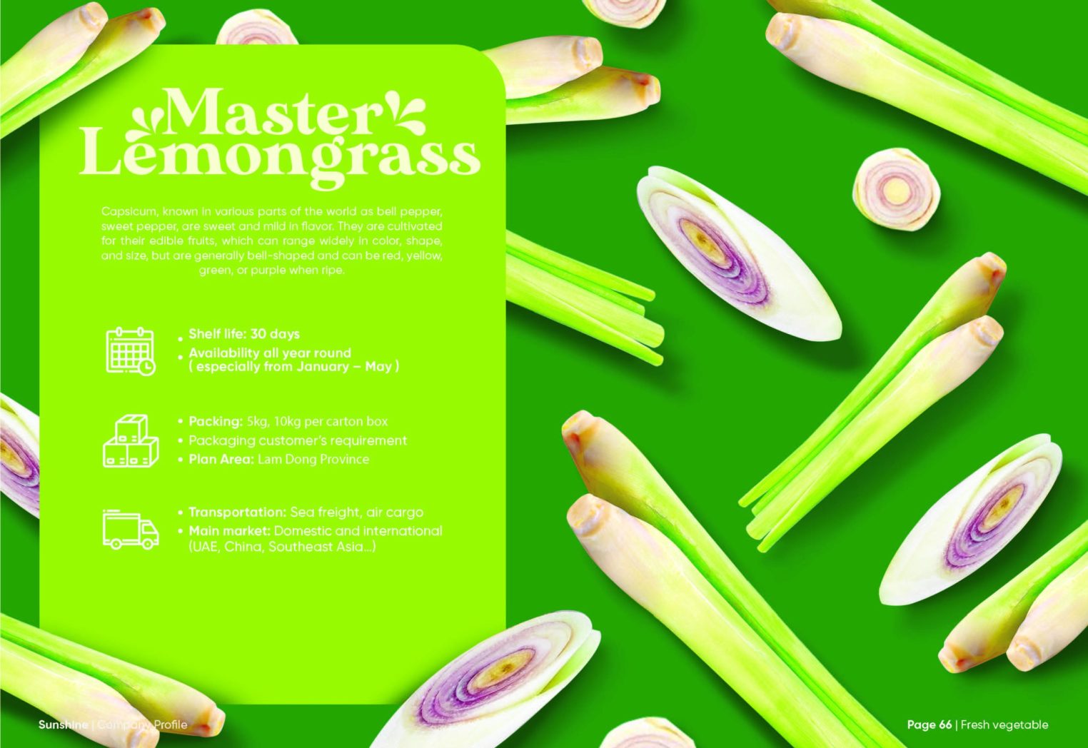 Sunshine_Brochure_FA_Page_34