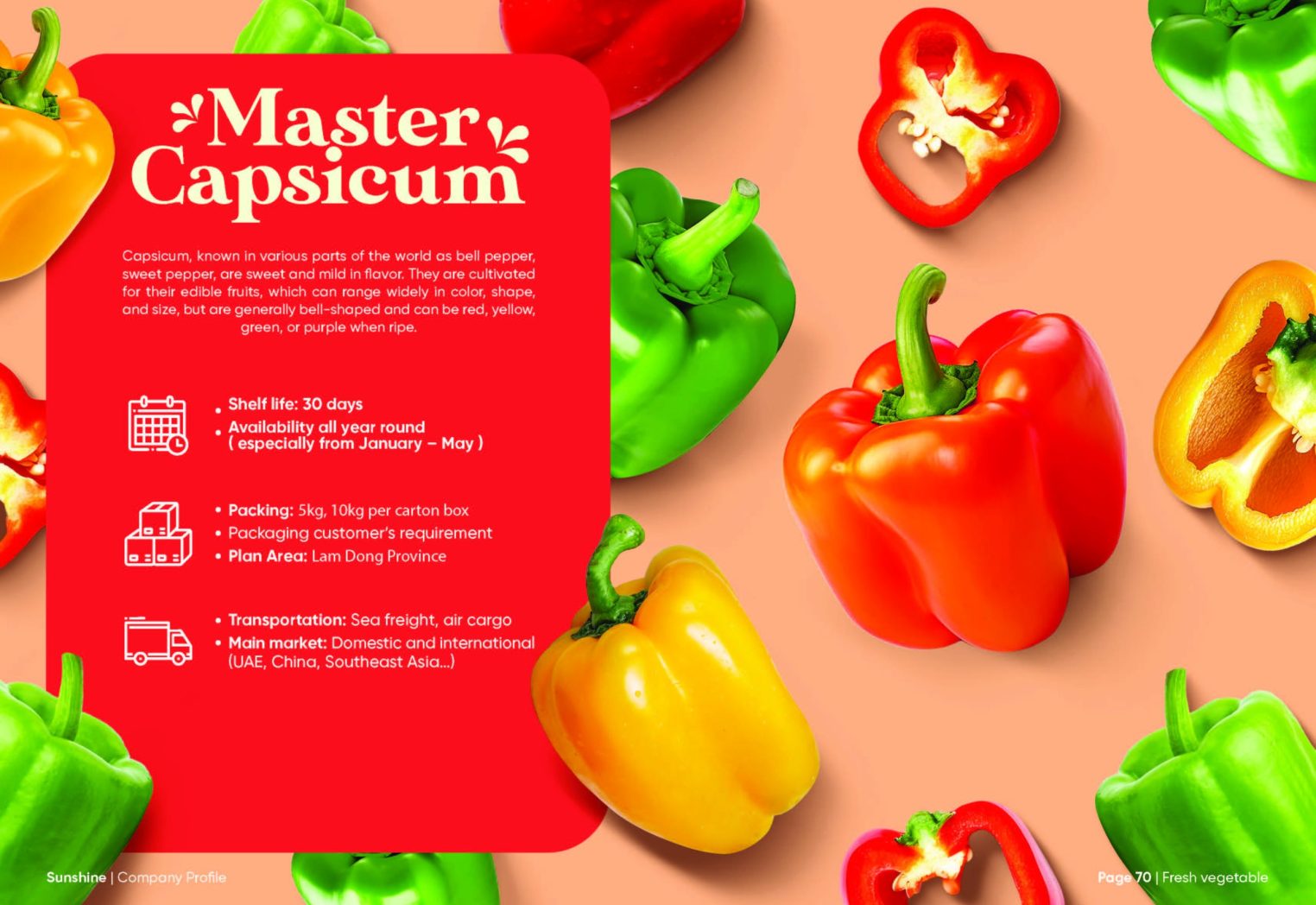 Sunshine_Brochure_FA_Page_36