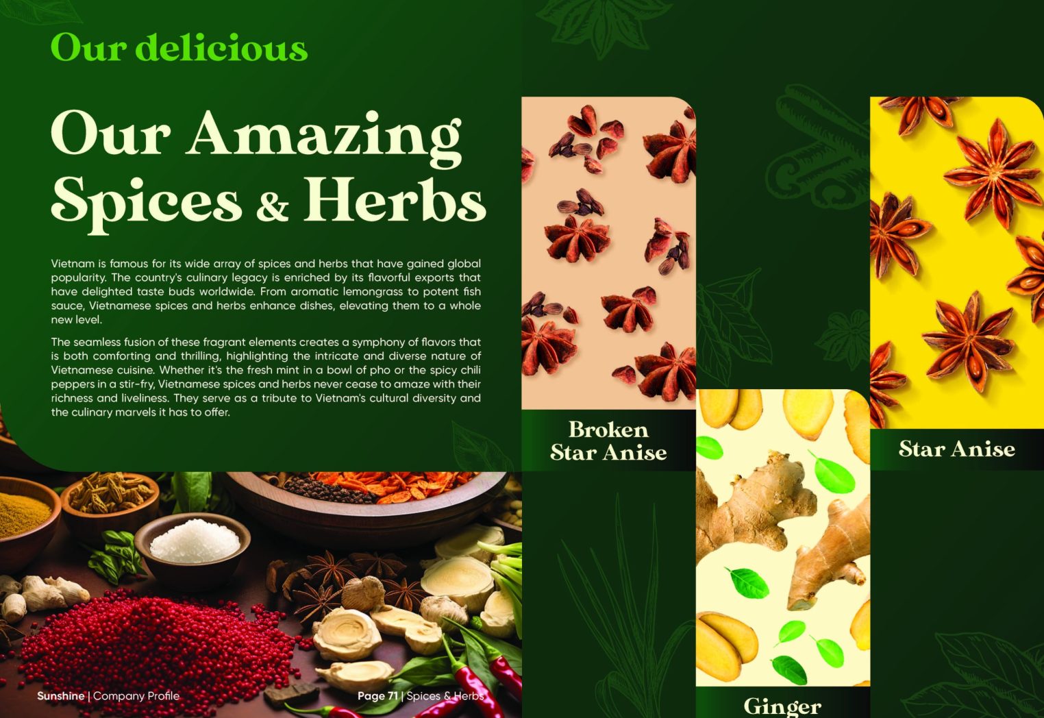 Sunshine_Brochure_FA_Page_37