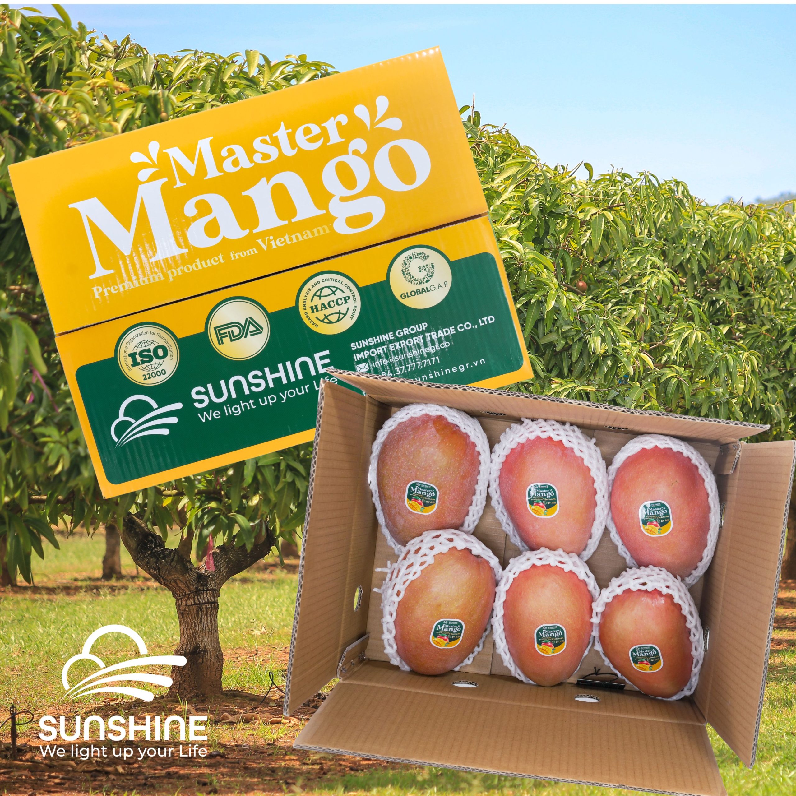 Taiwanese-mango-red-1