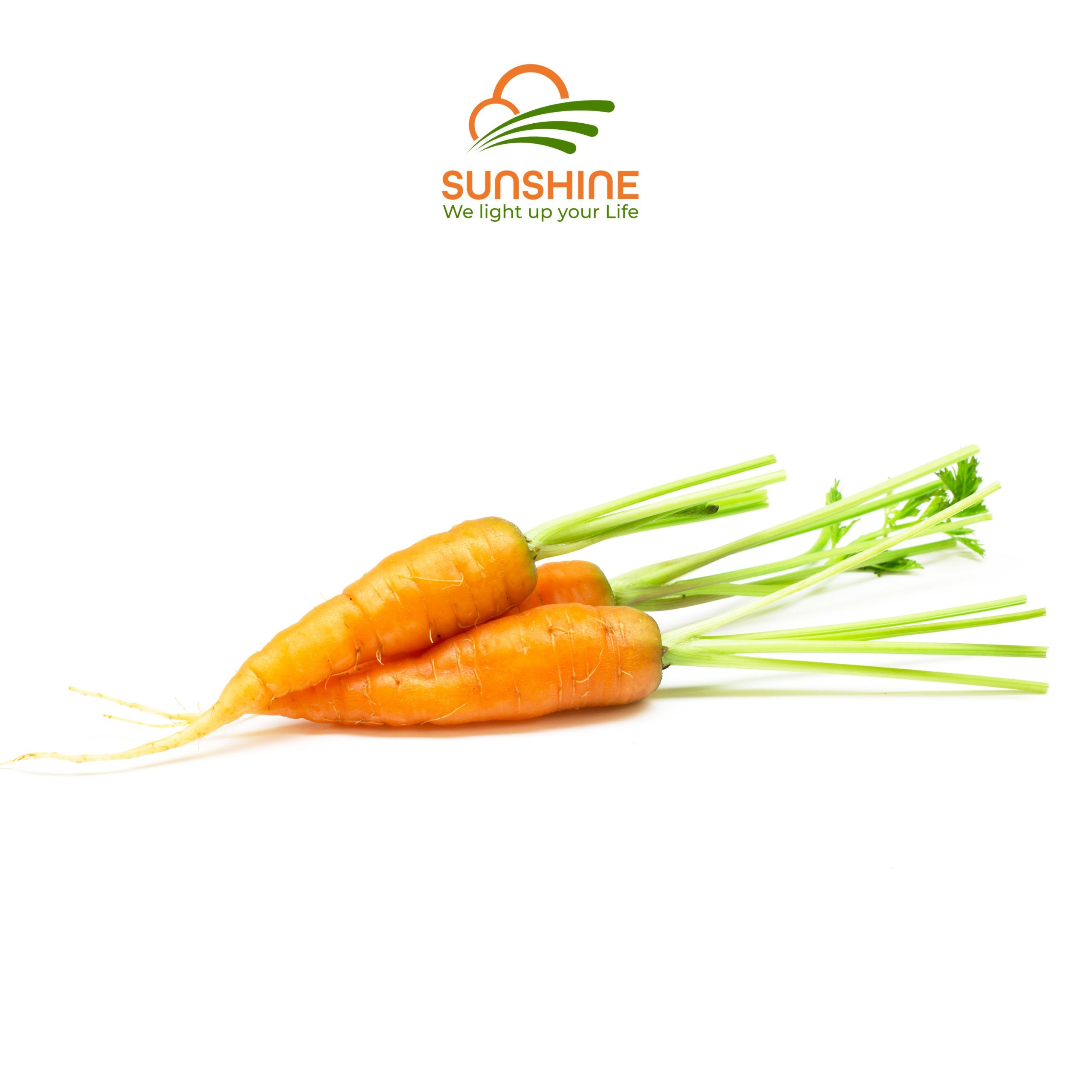 baby-carrot