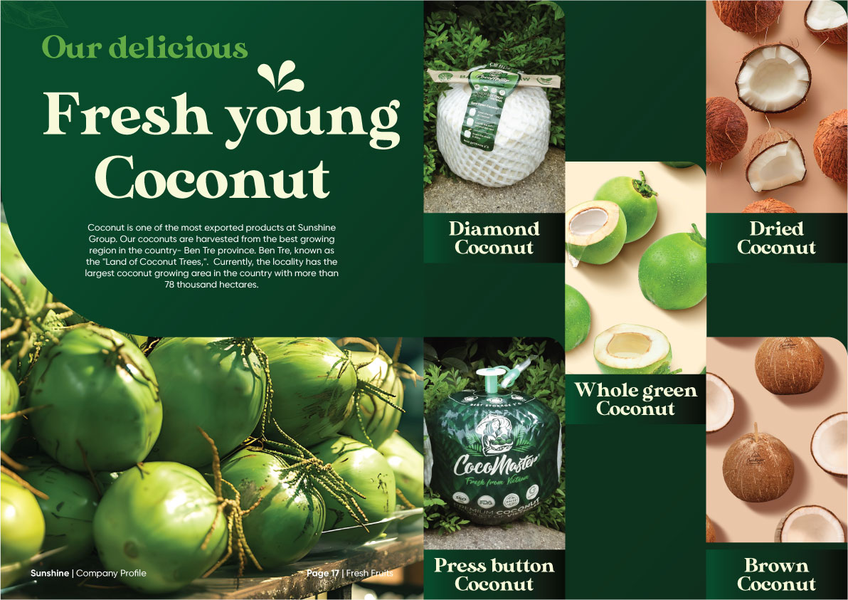 Sunshine_Brochure_FA_Company_Profile_Page_10