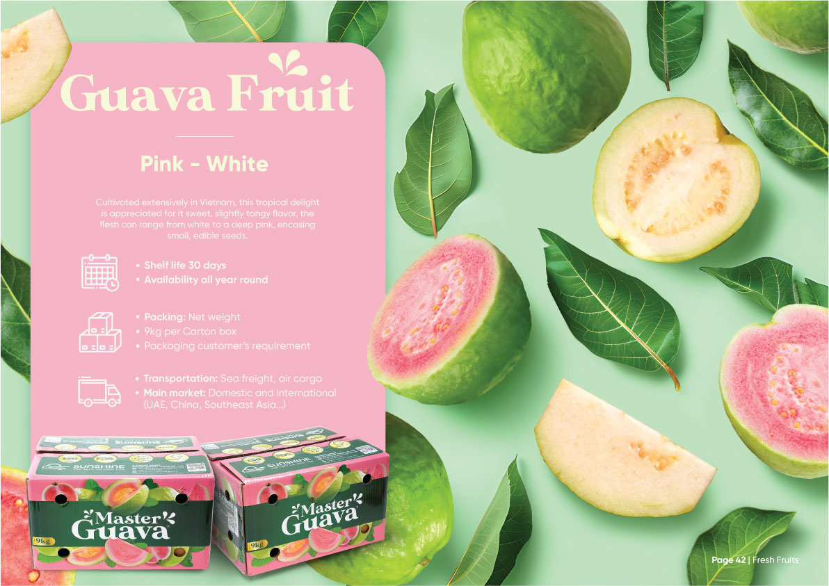 Sunshine_Brochure_FA_Company_Profile_Page_22