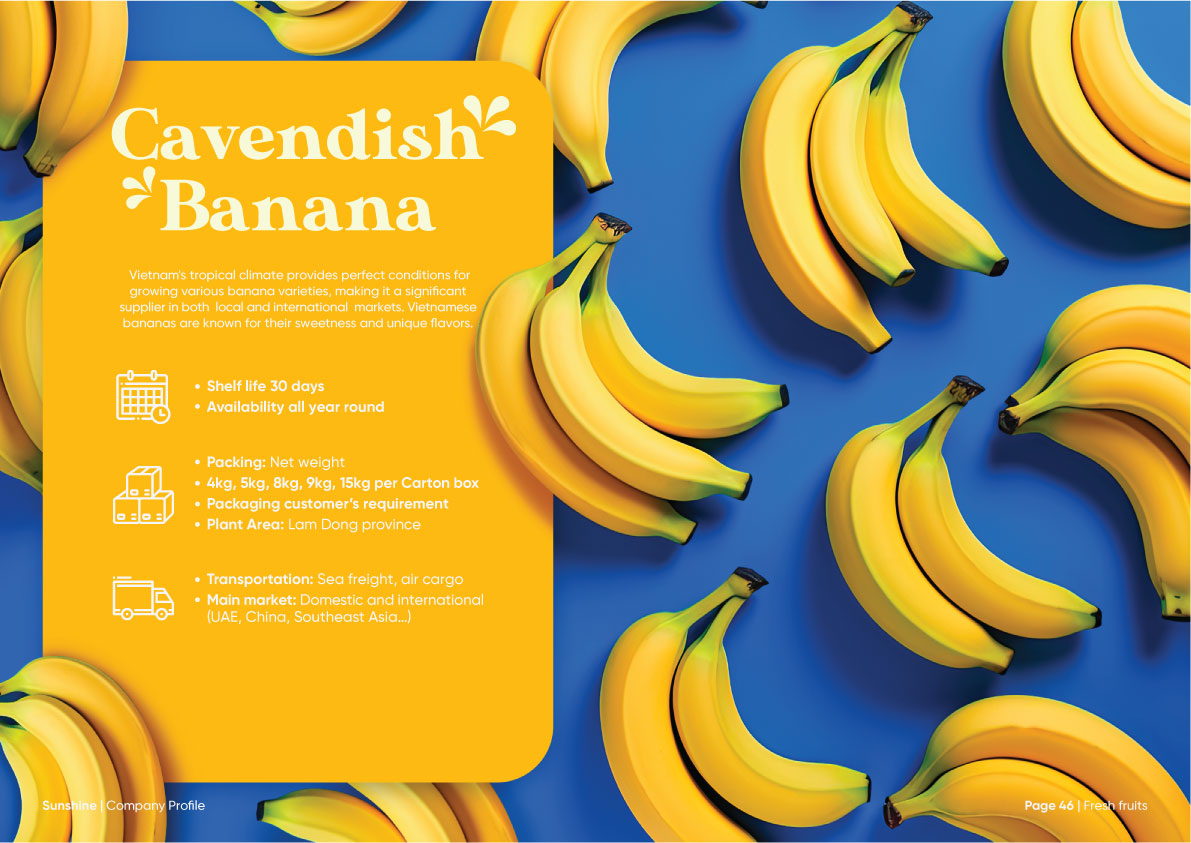 Sunshine_Brochure_FA_Company_Profile_Page_24