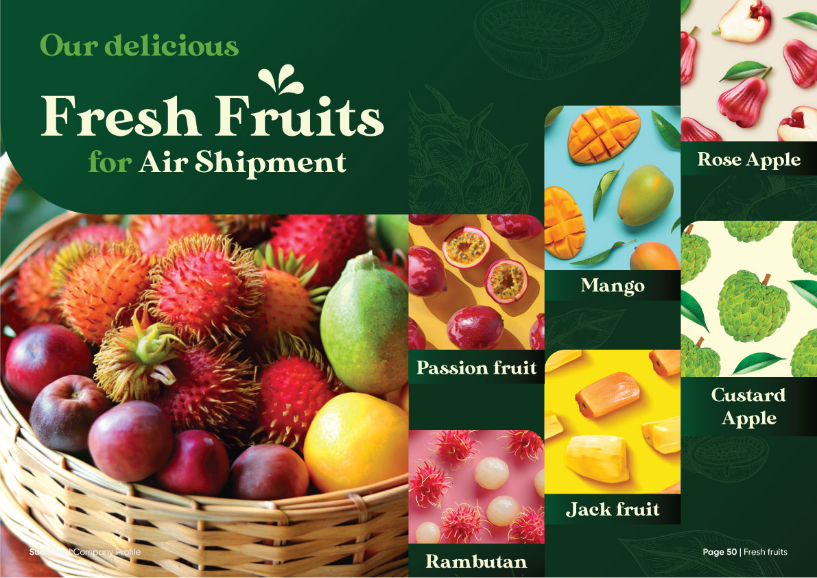 Sunshine_Brochure_FA_Company_Profile_Page_26