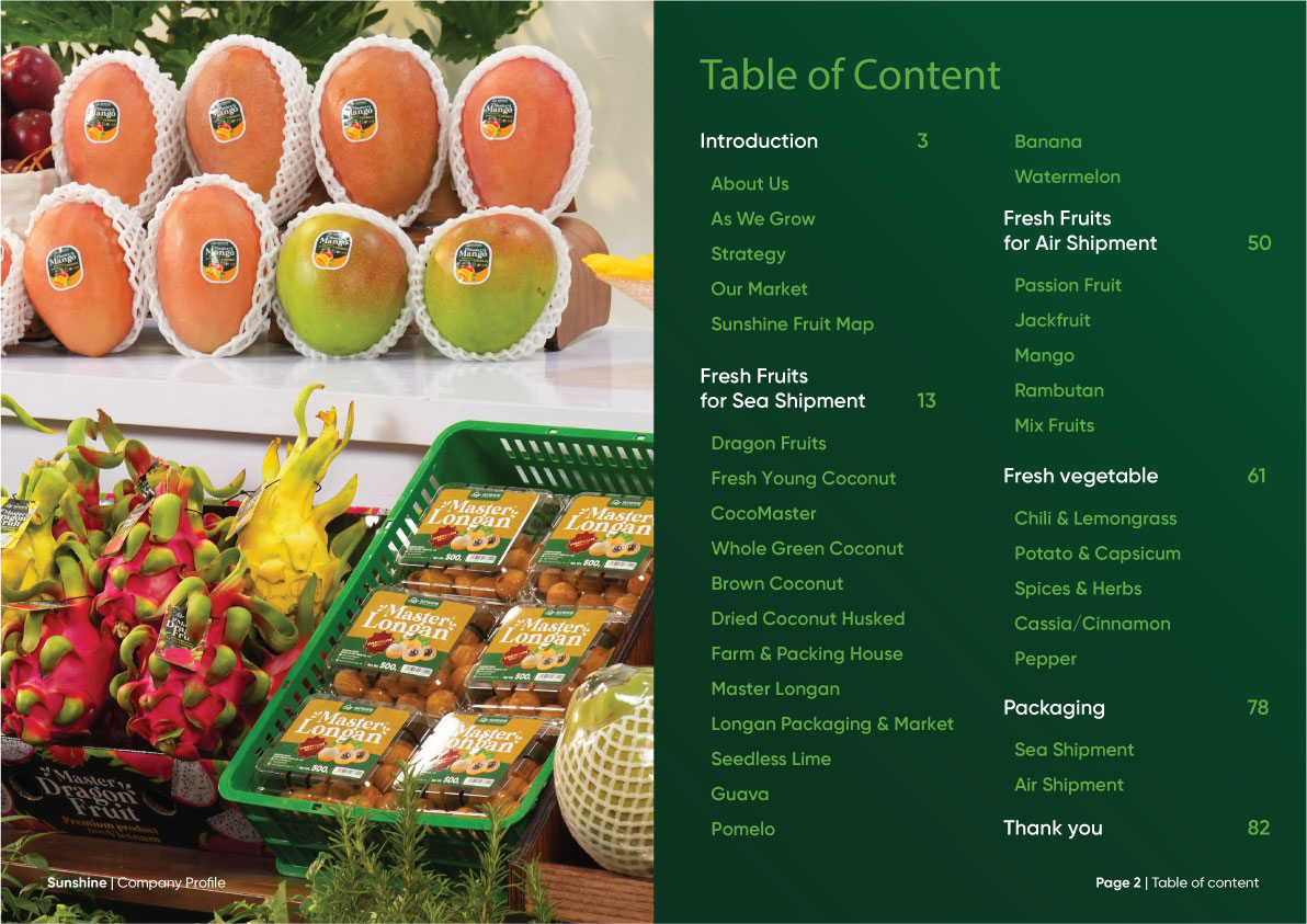Sunshine_Brochure_FA_Company_Profile_Page_2_fix