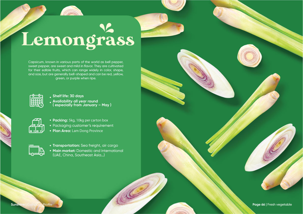 Sunshine_Brochure_FA_Company_Profile_Page_34
