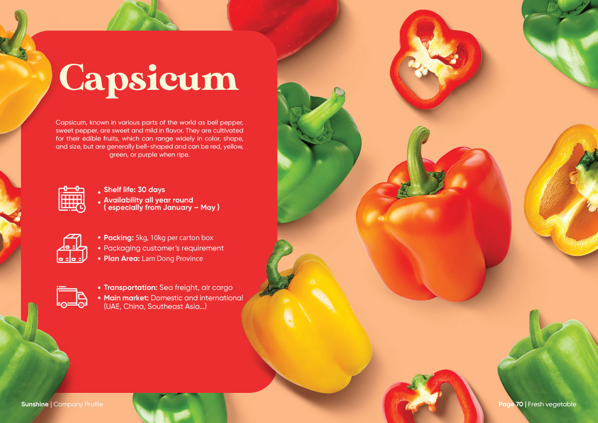 Sunshine_Brochure_FA_Company_Profile_Page_36