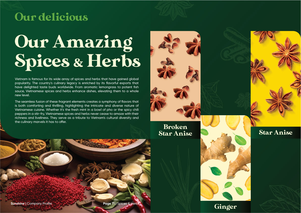 Sunshine_Brochure_FA_Company_Profile_Page_37