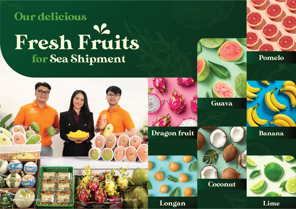 Sunshine_Brochure_FA_Company_Profile_Page_8